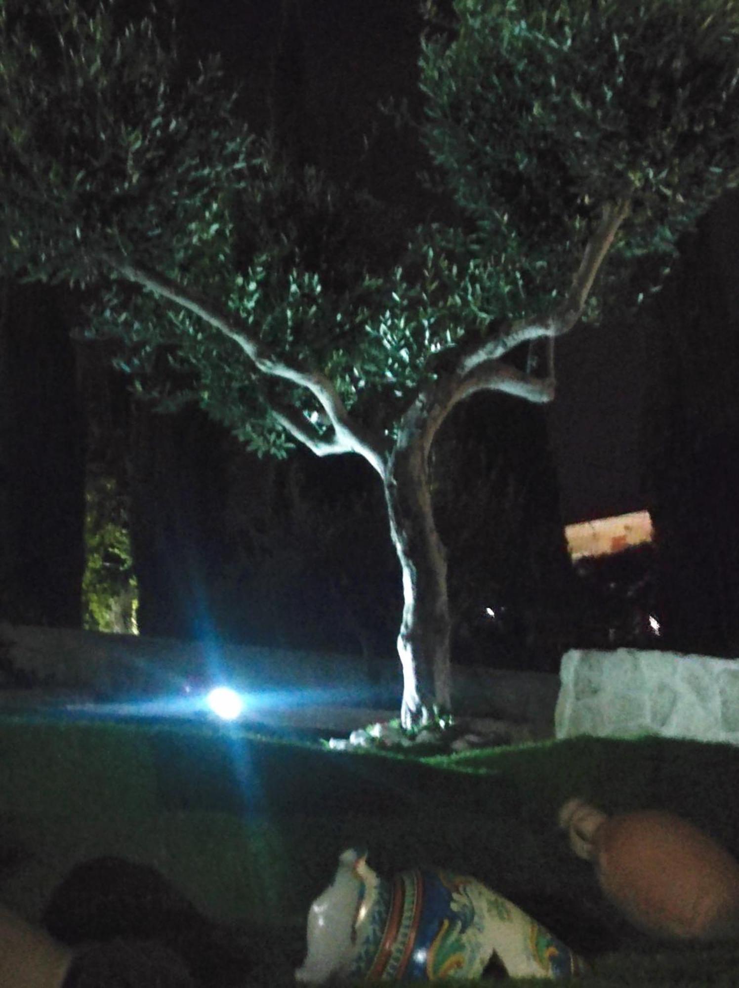 Villa Lory Agrigento Zewnętrze zdjęcie